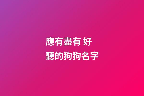 應有盡有 好聽的狗狗名字